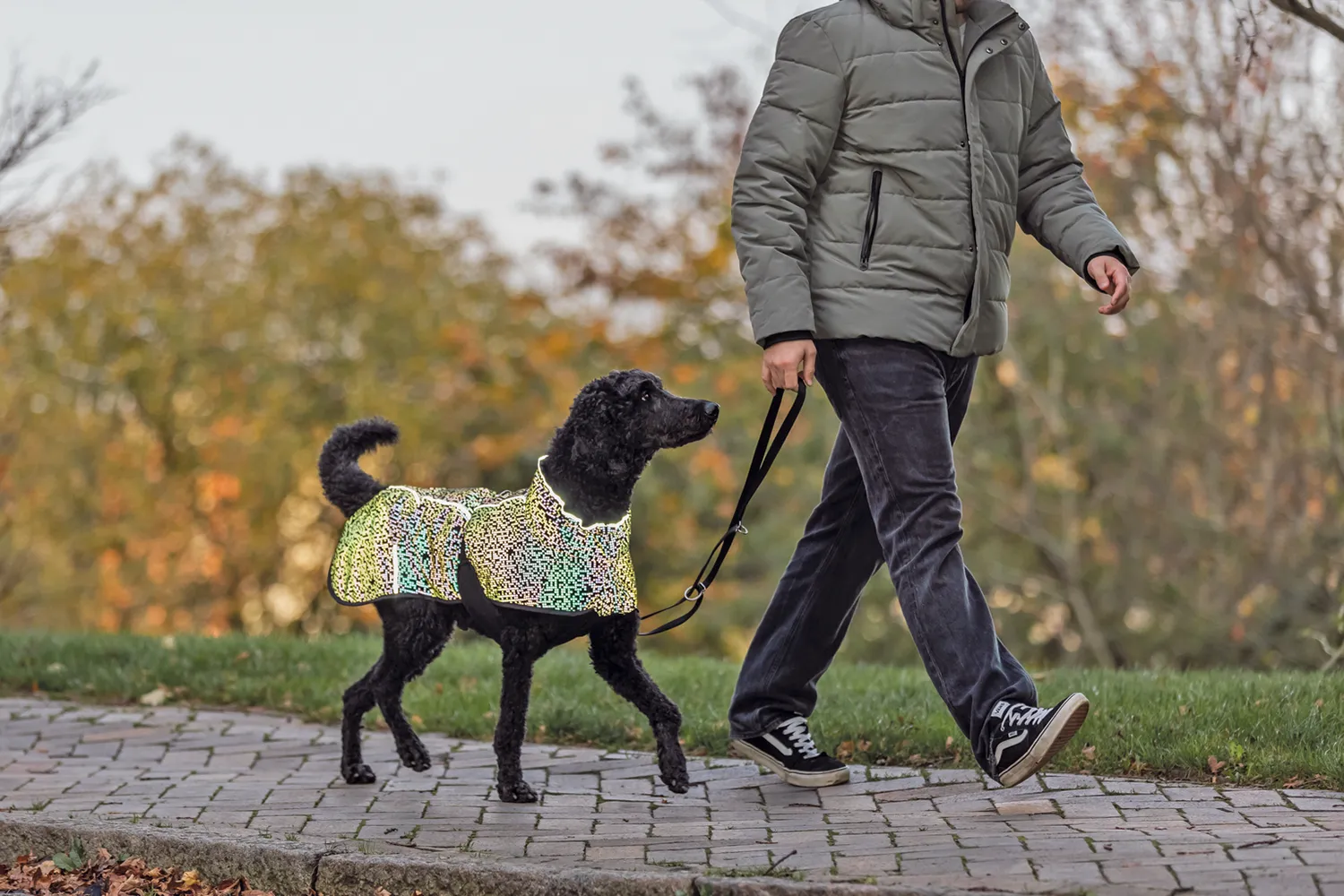 Herbsttrends 2025