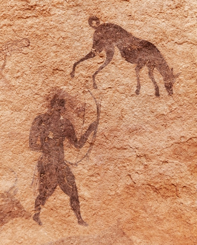 Die Bedeutung der Hunde in der Evolution des Menschen