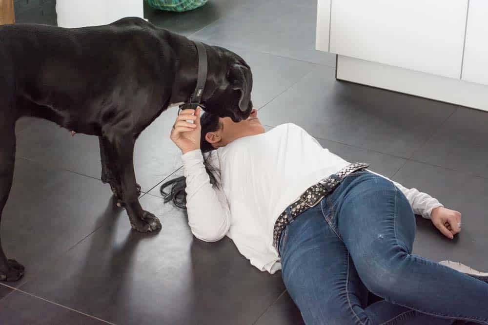 Hundeberufe: Der Warnhund