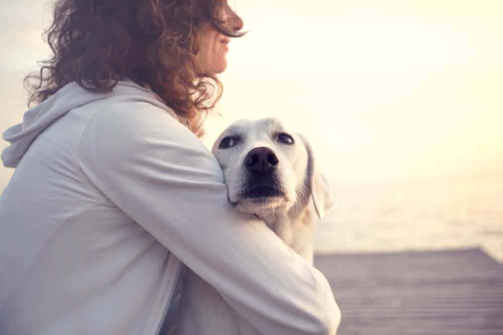 Wenn ich ein Hund wäre … Teil 2