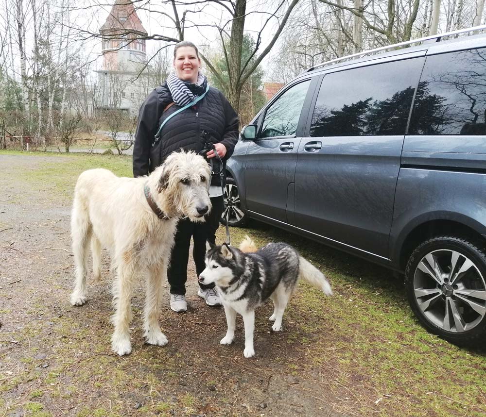 Kleine Familie mit großem Hund: Leben mit einem Irischen Wolfshund