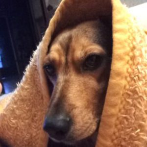 Profilbild von Linda