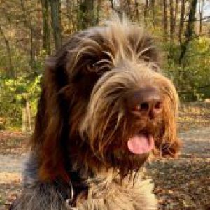 Profilbild von Tatjana