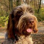 Profilbild von Tatjana