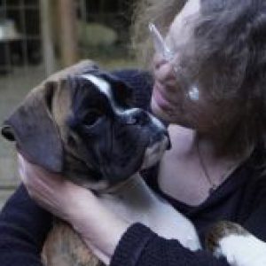 Profilbild von Boxermama