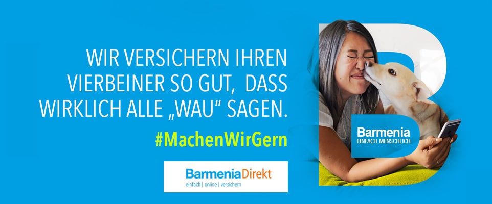 Sicher auf vier Pfoten – Welche Tierversicherung brauche ich?