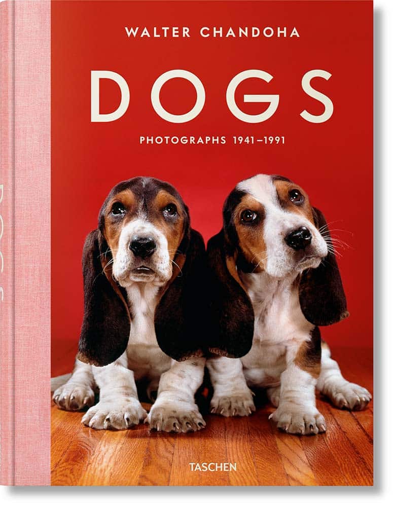 dogodu Buchtipps