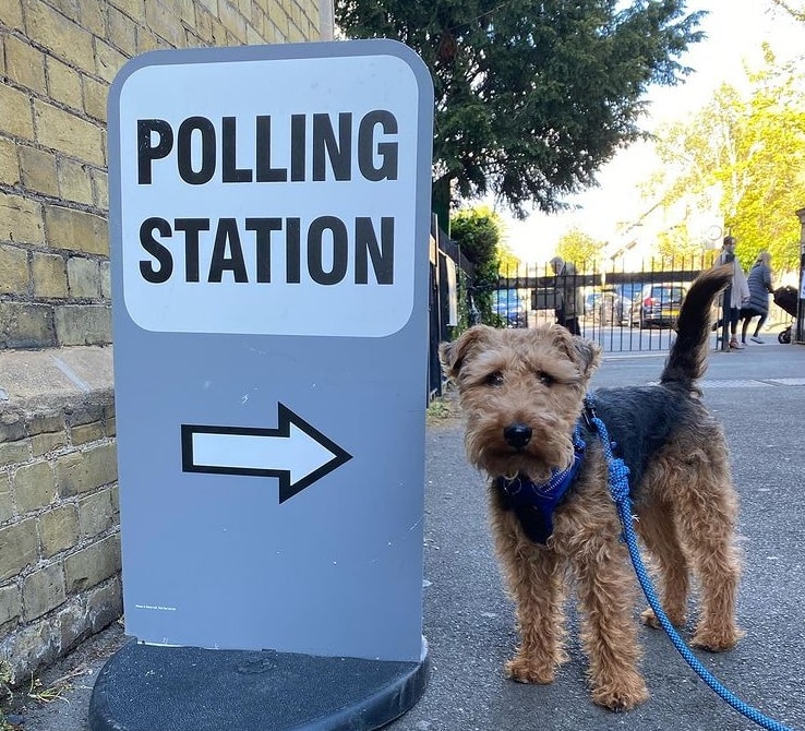 #dogsatpollingstations: Britische Hunde vor Wahllokalen