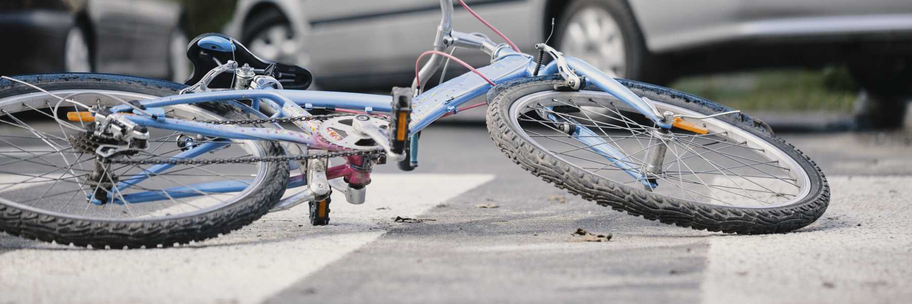 Radfahrer kollidierte mit Hund