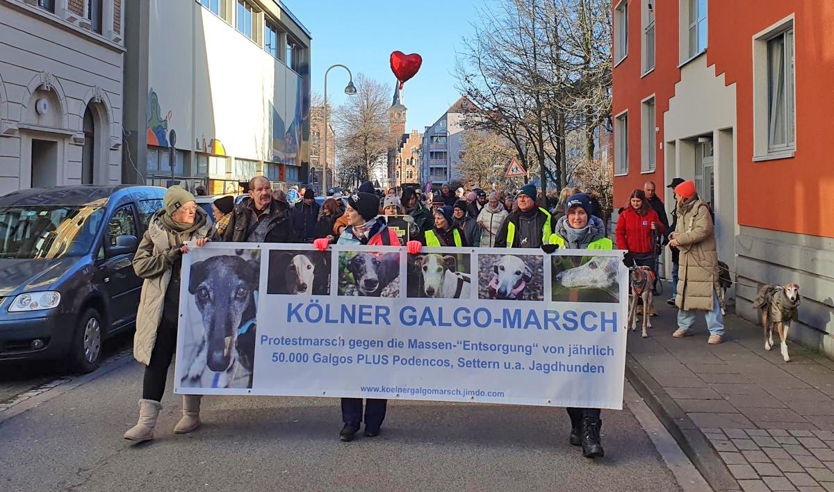 Galgo-Marsch Köln