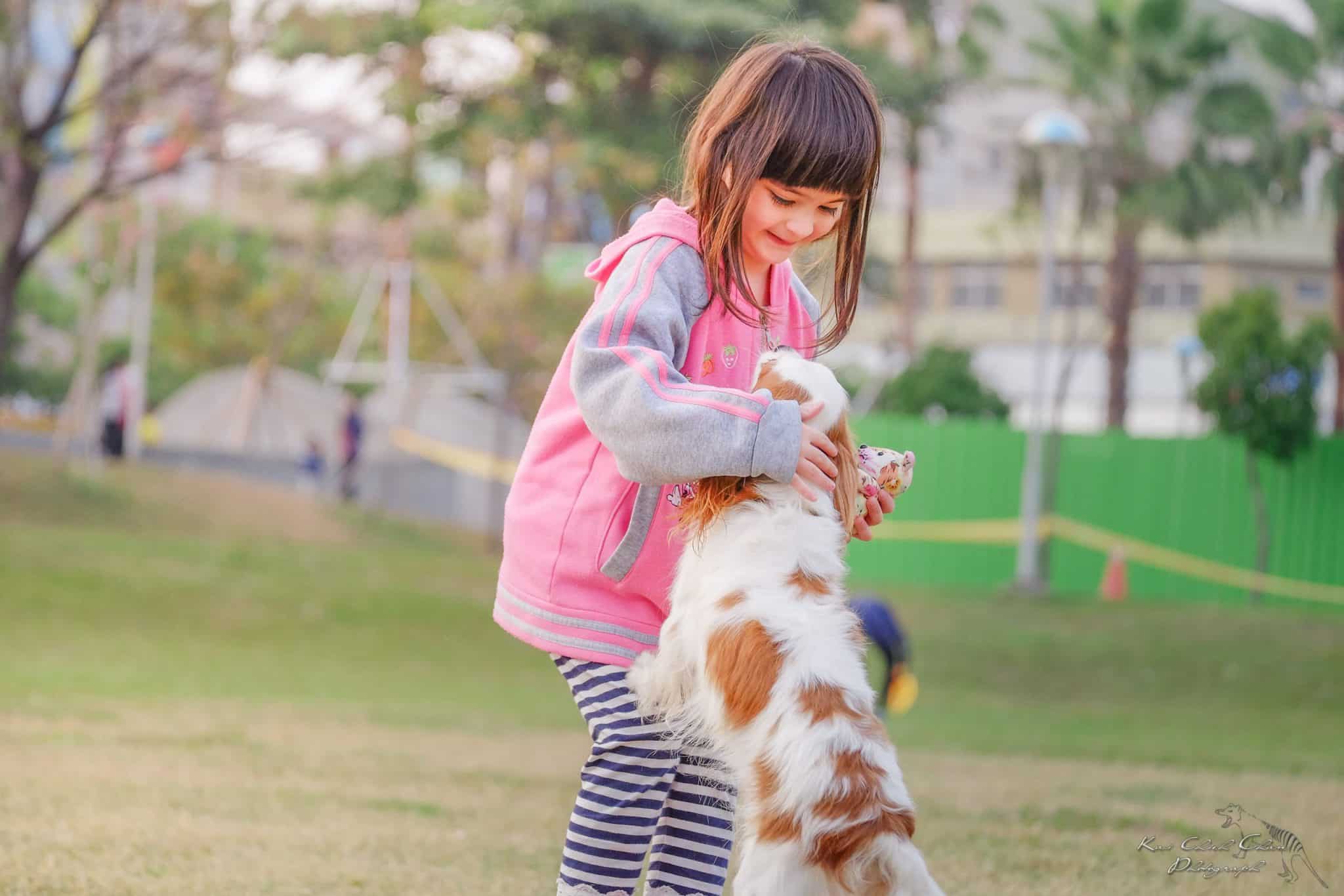 Kinder verstehen Signale der Hunde oft nicht