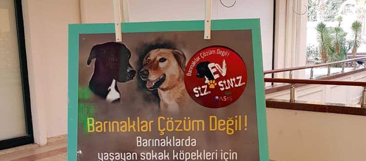 Oasis – Einkaufszentrum mit einem Herz für Hunde