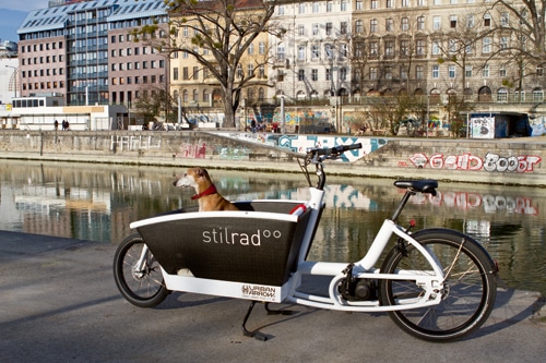 Unterwegs mit Hund und Fahrrad – Neue Trends