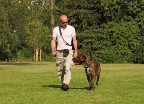 Trainer ist nicht gleich Trainer