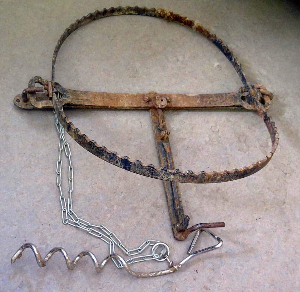 Hundehalter findet rechtzeitig Schlagfalle